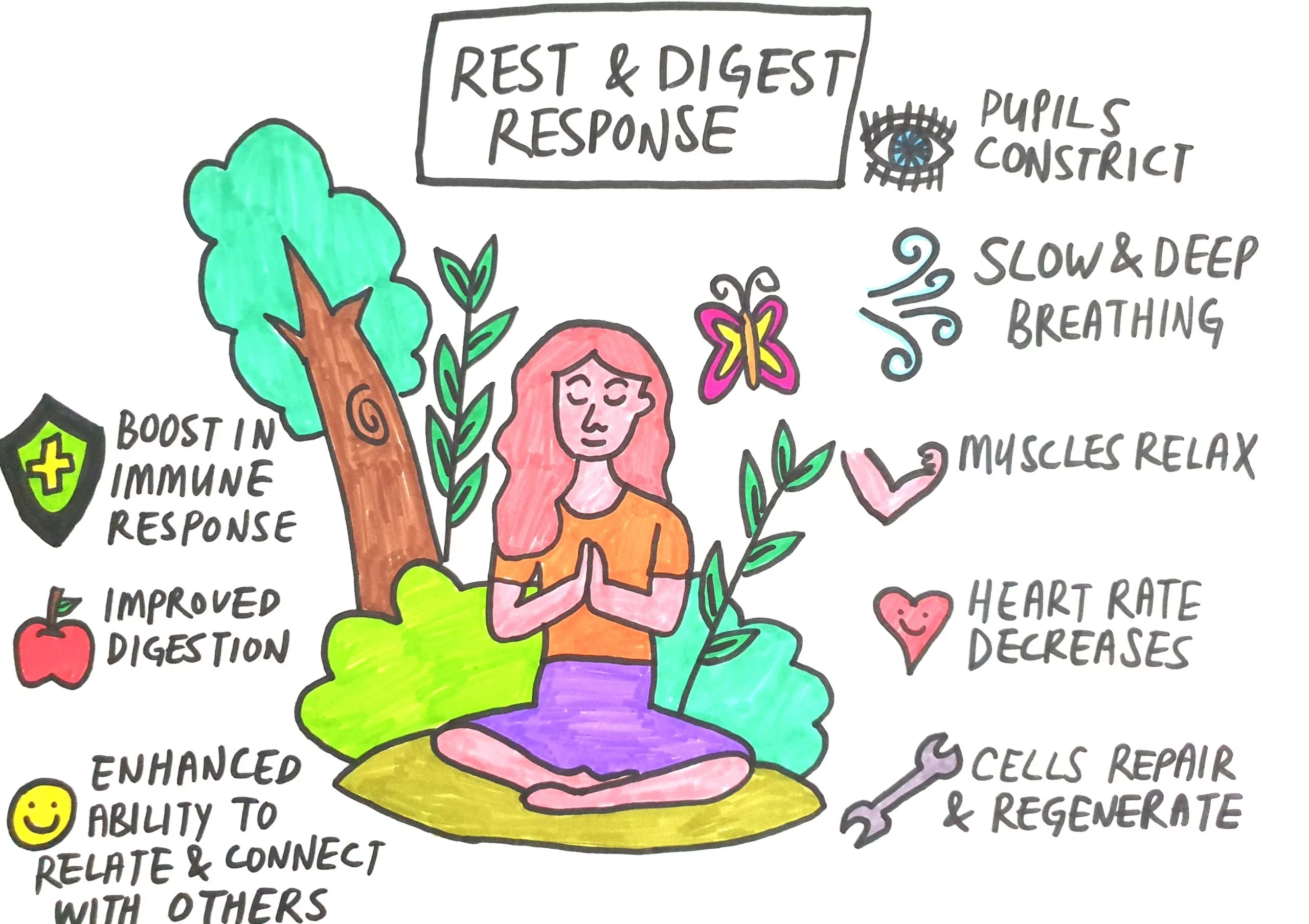 Effects of Stress, Effects of Stress on the Nervous System and Resources to Promote Calm